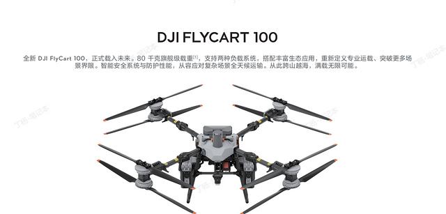 大疆機巢價格解析與運載機FC30配置概述，兼談信息技術咨詢服務